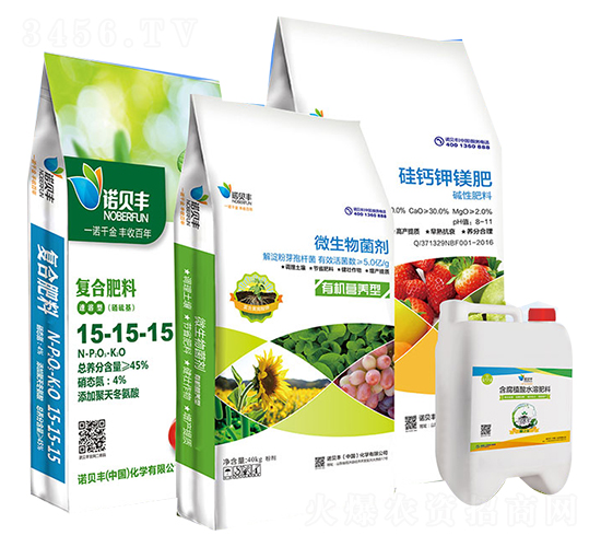 �ײ�C-�Zؐ�S