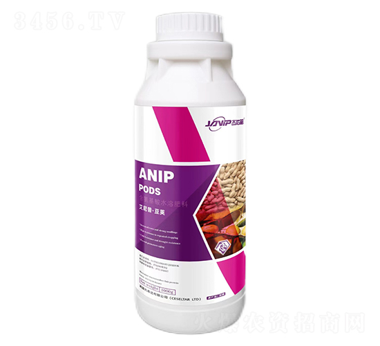 �����ա����v-������