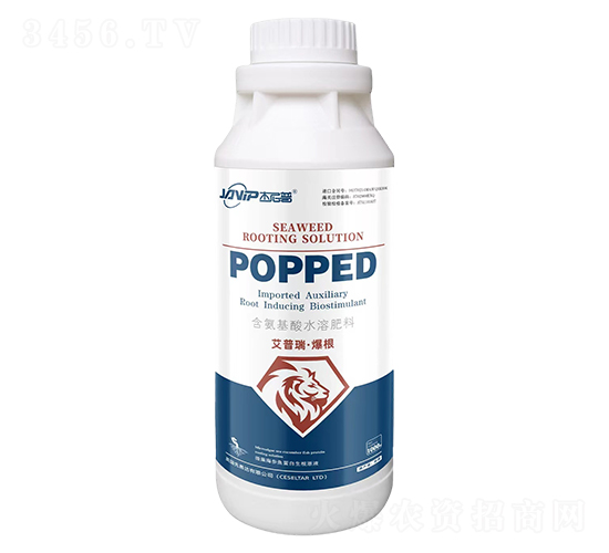 �����𡤱���-������