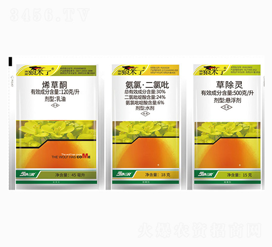 ���{���Ͳˌ��������݄�-�Ͳ��ǁ���-���r(n��ng)��