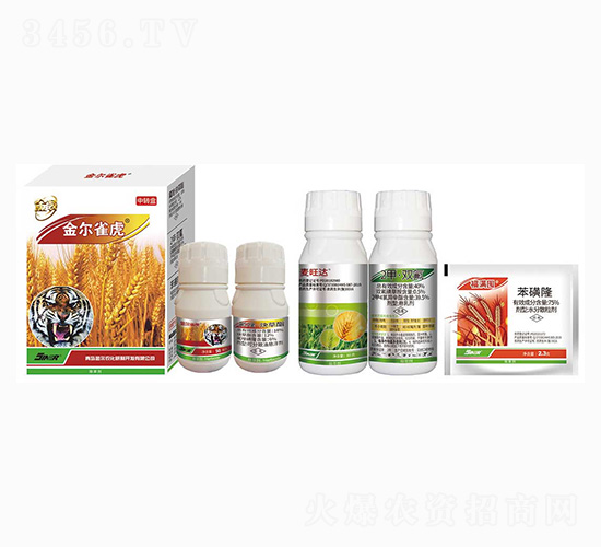 ��ȸ��-���r(n��ng)��