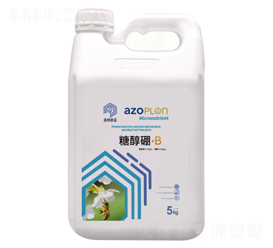 �Ǵ���-������