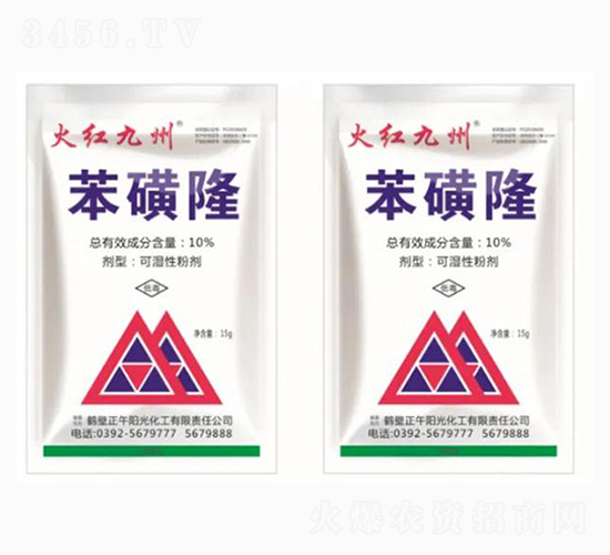 10%����¡-��t����-����ꖹ�