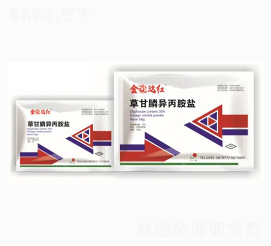 50%�ݸ�좮����@�}-�����_�t-����ꖹ�