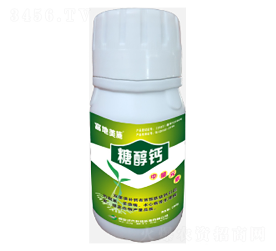 �Ǵ��}-�����Ƽ�