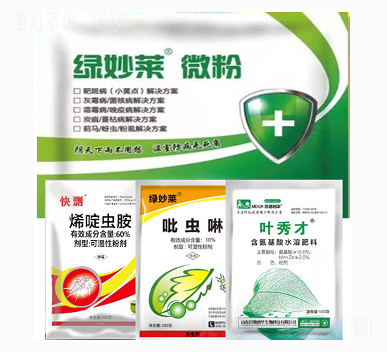 �G���R΢��-�E�R���x��ʭ��Q����-������A