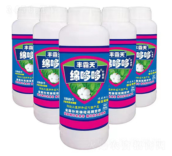 �޶߶��~���-�S����-������