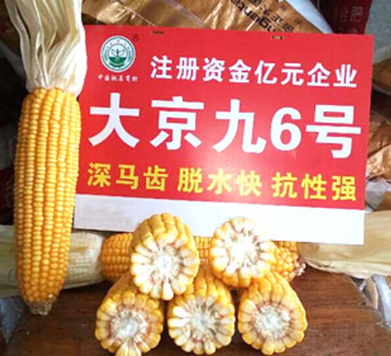 �󾩾�6̖-���׷N��-�󾩾ŷN�I(y��)