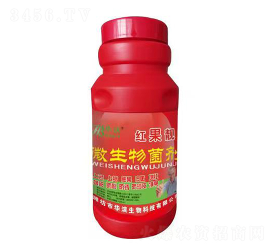 �t���n�������-�A�I����