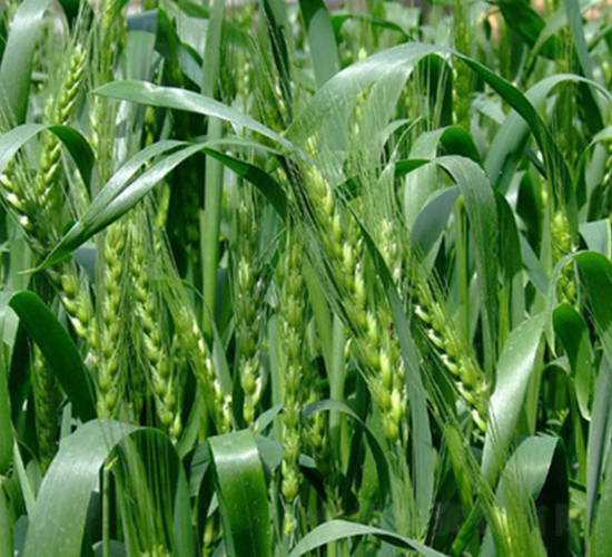 ���r(n��ng)24-С���N��-���r(n��ng)�N�I(y��)