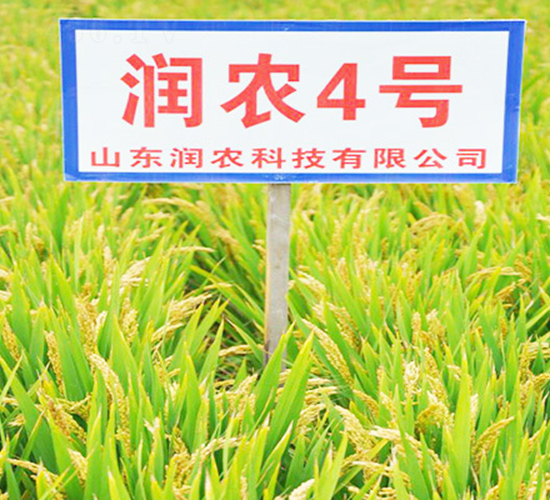 ���r(n��ng)4̖(h��o)-ˮ���N��-���r(n��ng)�N�I(y��)