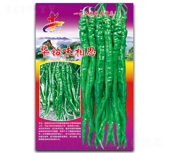 �A�@ζ��˼-�����N��-�Aһ�N�I(y��)