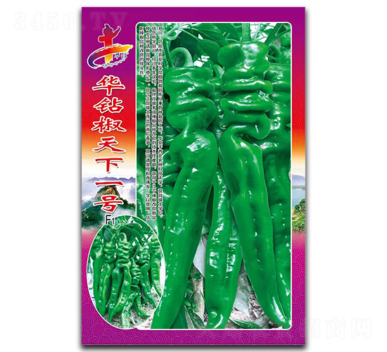 �A�@������һ̖(h��o)-�����N��-�Aһ�N�I(y��)