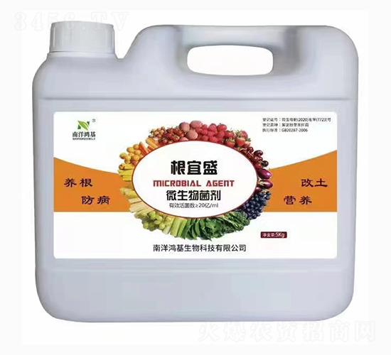 ����ʢ΢�������-��������