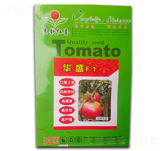 ���t���N��-�AʢF1-���J�tϲ