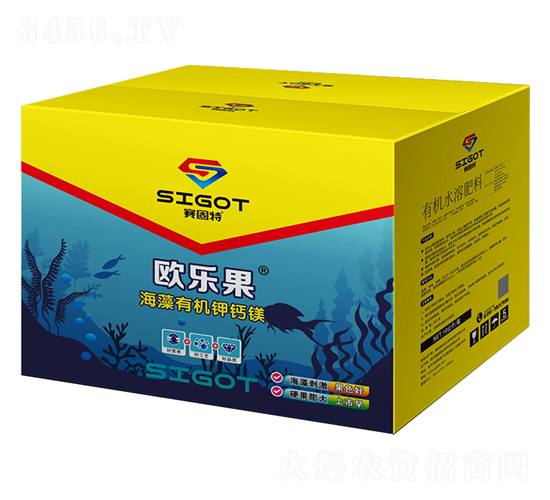 �����ЙC(j��)��}�V-�W����-ِ����