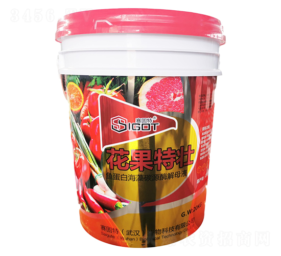 �����؉�-ِ����