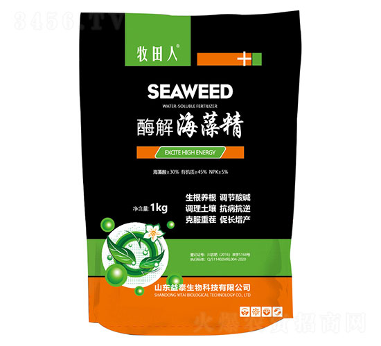 ø�⺣�徫-��̩����