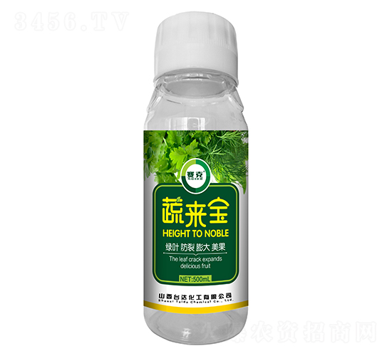 �߁팚-ِ��-�_�_(d��)�ʘI(y��)