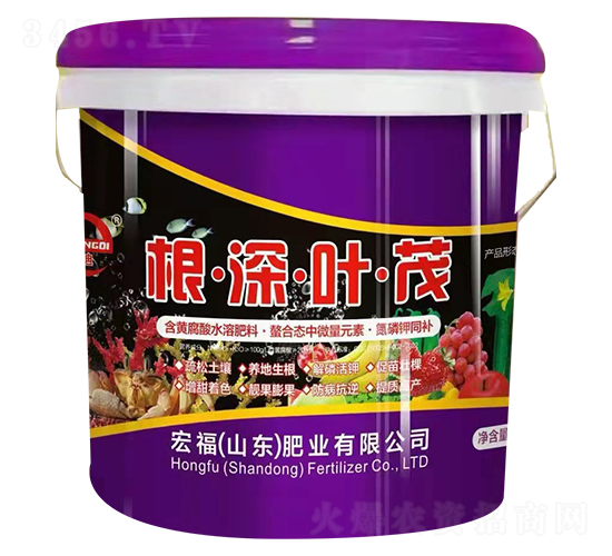 �����~ï-�긣