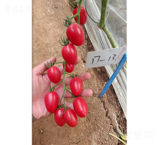 ���ҷ���233-���ѷN��-��(y��u)�Π�����