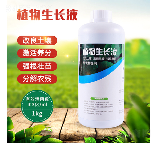 ֲ�����L(zh��ng)Һ-��(r��n)��