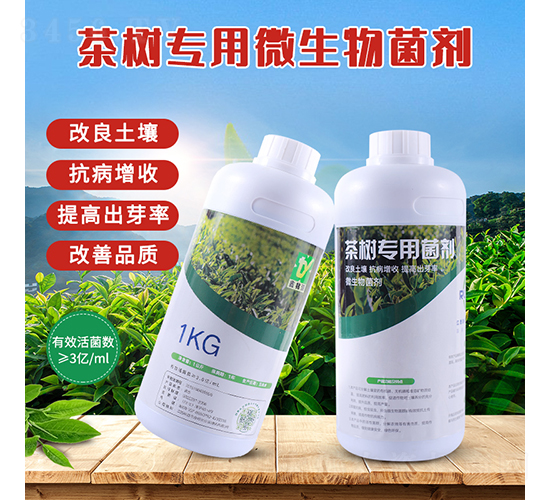 ��䌣��΢�������-����