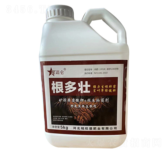 ������-���~��-����·ʘI(y��)