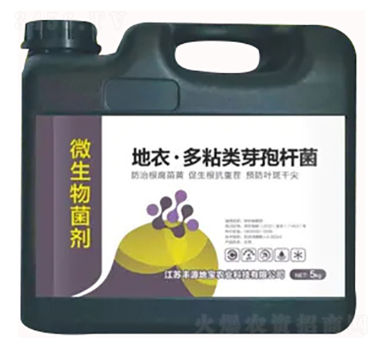 ΢�������-���¡���ճ�ѿ�ߗU��-�SԴ�،�