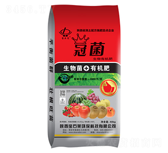 �ھ������ЙC(j��)��-��ʯ�R