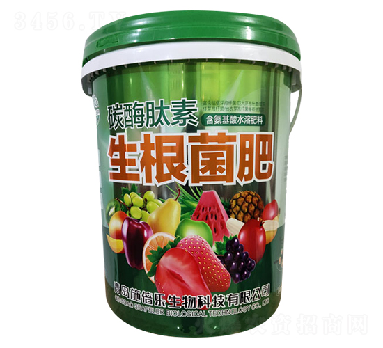 ̼ø������������-�������