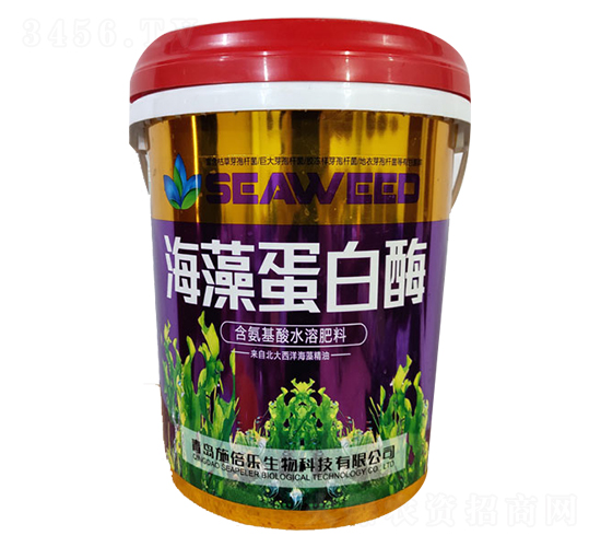 ���嵰��ø-�������