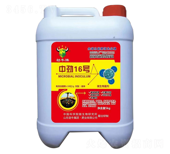 �Є�16̖΢�������-��ţ