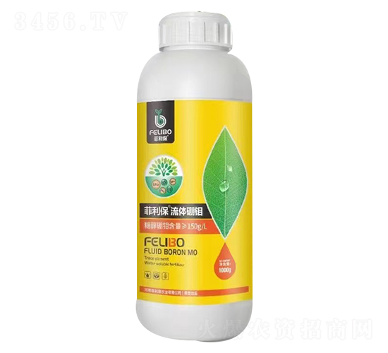 ���w���f-������