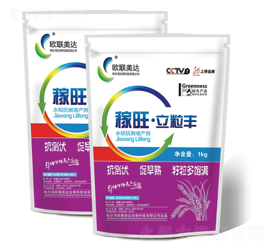 ���������S-�W(li��n)���_(d��)