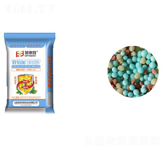 ጱ��ӿ�ጷ�27-12-13-������