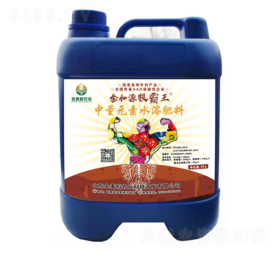 ���Դ������-������