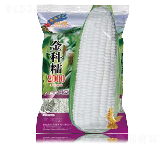 ���Ŵ2000-���׷N��-�Aһ�N�I(y��)