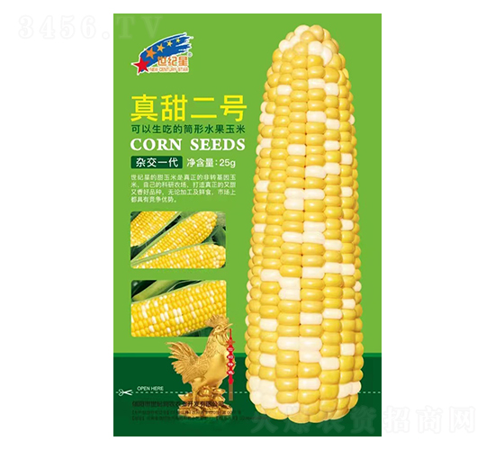 �����̖-���׷N��-�Aһ�N�I(y��)