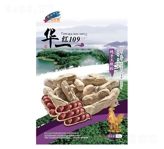 �t109-�����N��-�Aһ�N�I(y��)