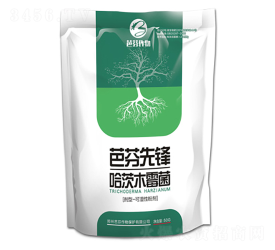 ����ľù��-�ŷ����h-�ŷ�����