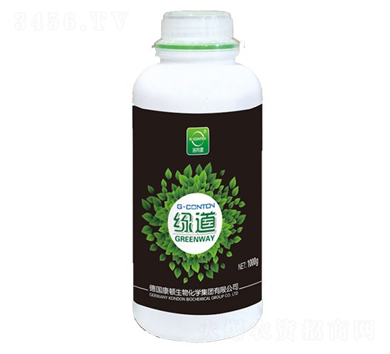 G-CONTON�G��-��ұ�-�A����