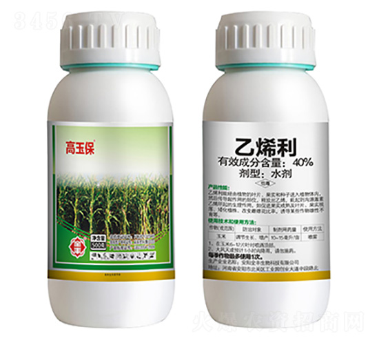 20g��ϩ��-����-ȫ�S