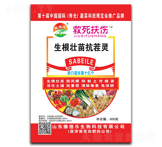 �������翹���`-��������-������