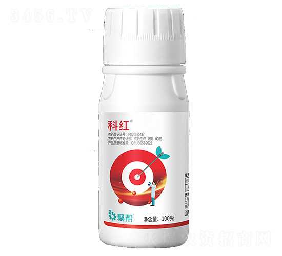 20%������Ҹ���-�Ƽt-�ێ�