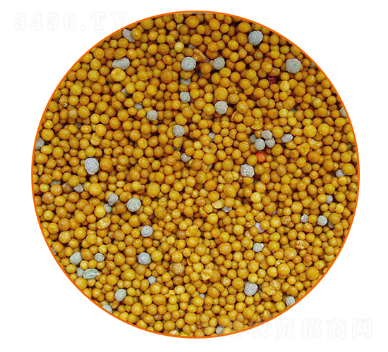 ��֬����-�����r�I(y��)