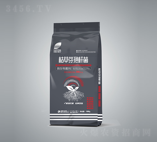 �ݲ�ѿ�ߗU��-Ӣ¶�����S