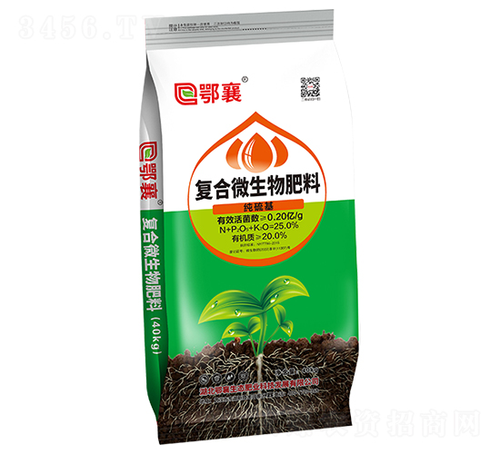 �ͺ�΢�������-����