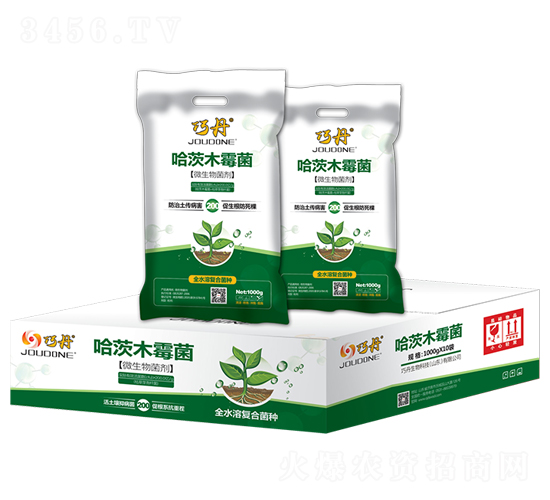 ����ľù��-�ɵ�