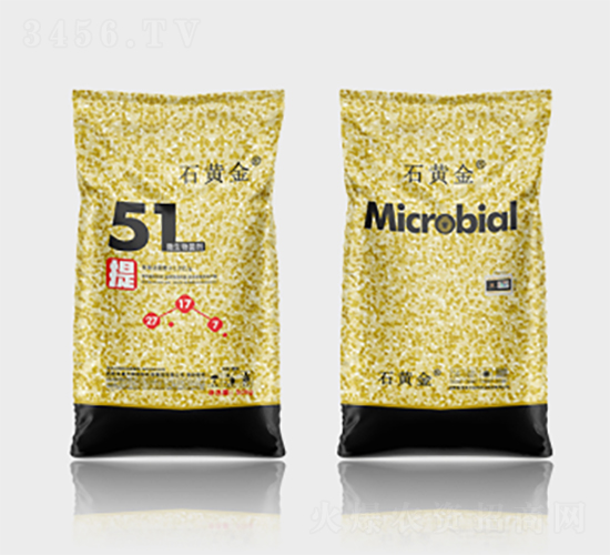 ΢�������51��-ʯ�S��